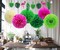 Hawaiian Party Decorations Flamingo Green Palm Leaf Banner with Pom Poms Paper Flowers Tissue Paper Fans for Luau Tropical Jungle Beach Safari Party Supplies Theme